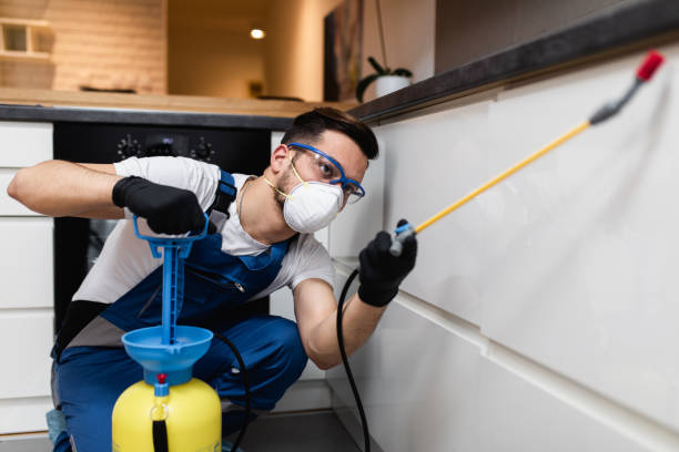 Best Flea Control Services  in Seneca, KS