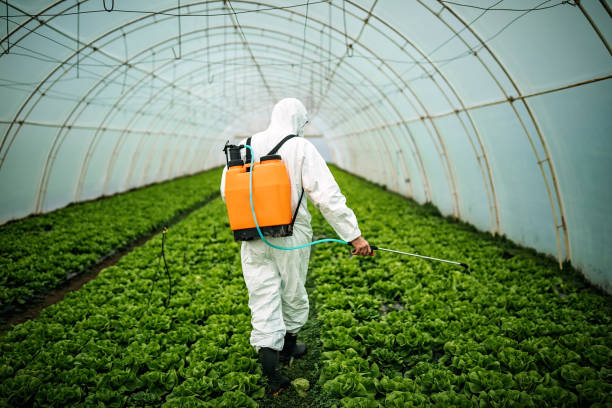 Pest Prevention Services in Seneca, KS