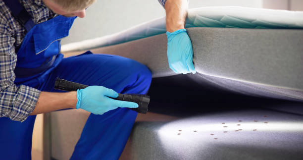 Best Affordable Pest Control Services  in Seneca, KS