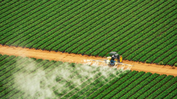 Professional Pest Control in Seneca, KS