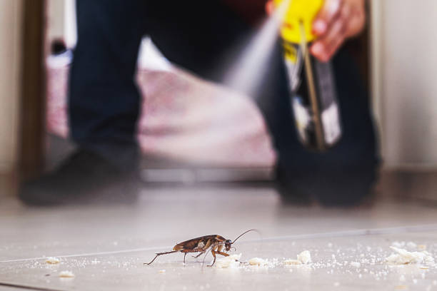 Best Exterminator Services  in Seneca, KS